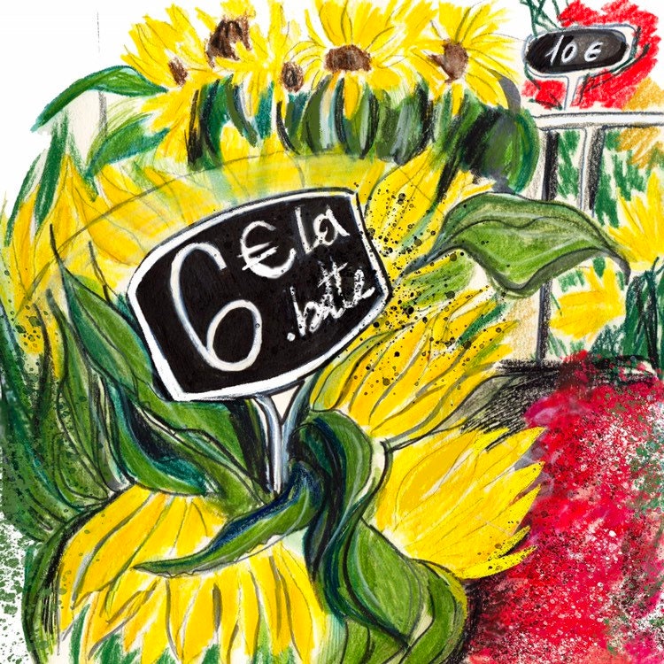 Sunflower Watercolor Sketch Print: Parisian Floral Wall Art