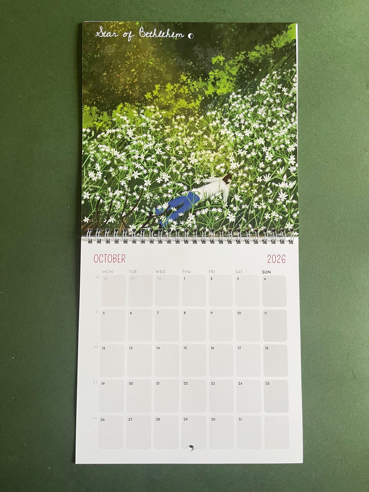 Healing Flowers – 2026 Wall Calendar | Bach Flower-Inspired Art Calendar | 21x21 cm Botanical Wellness Calendar | Floral Wall Decor Gift
