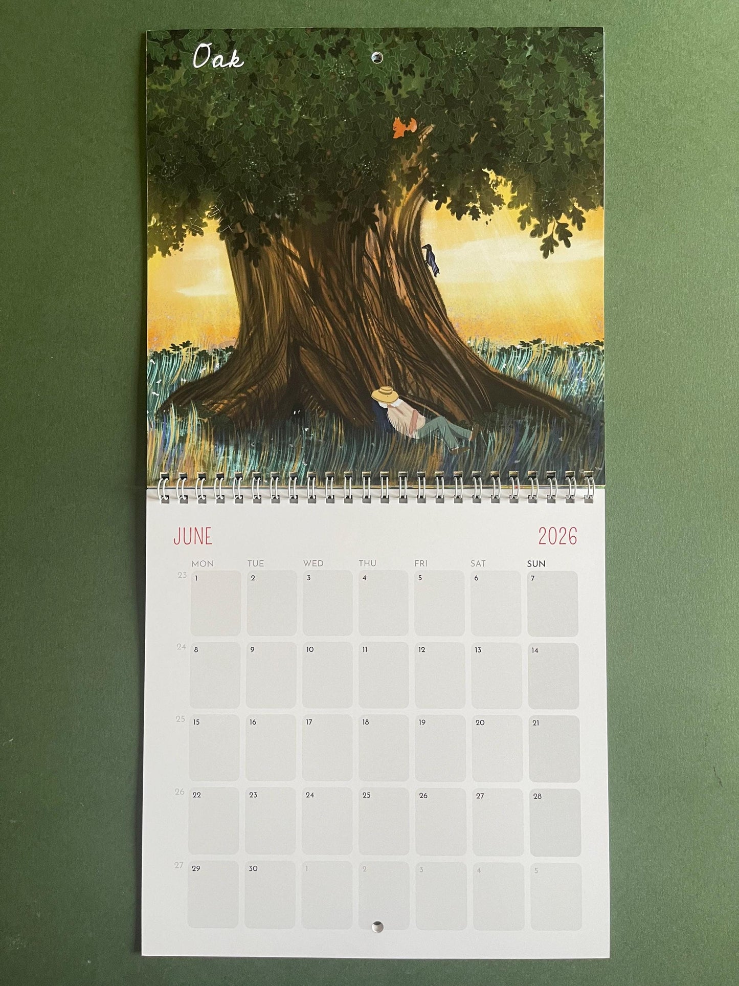 Healing Flowers – 2026 Wall Calendar | Bach Flower-Inspired Art Calendar | 21x21 cm Botanical Wellness Calendar | Floral Wall Decor Gift