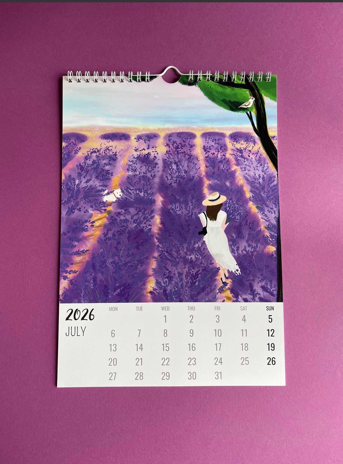 Wall calendar 2026| French Journey 2026 illustrated calendar| France travel calendar